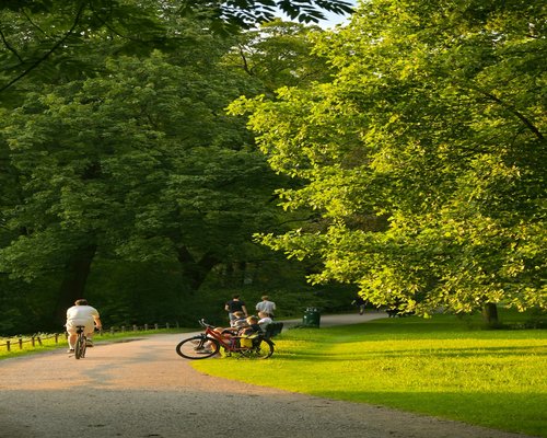 elderly couple walking in a sunny german park